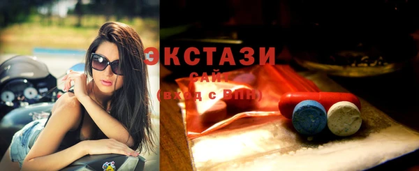 индика Заволжск