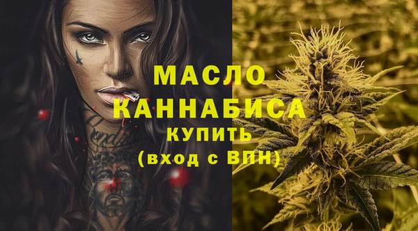 индика Заволжск