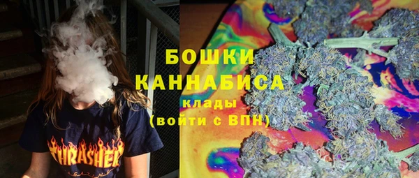индика Заволжск