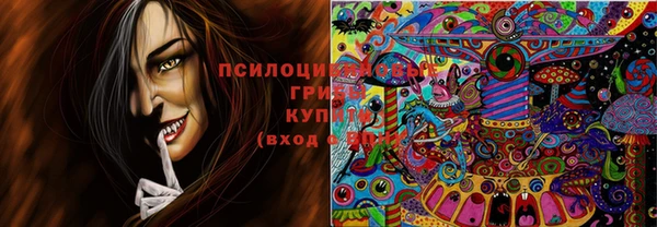 гашиш Ельня