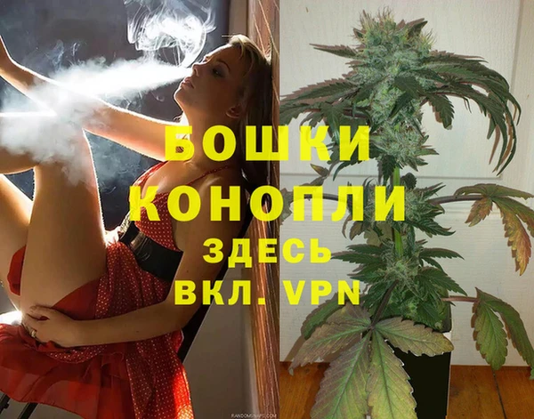 индика Заволжск