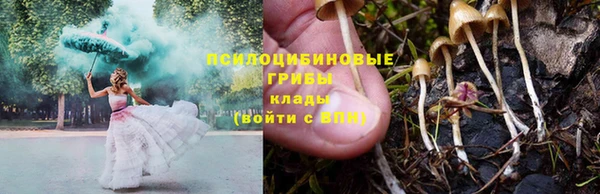 индика Заволжск