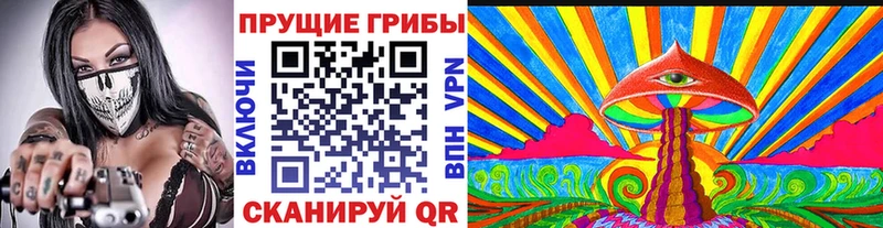 Псилоцибиновые грибы Cubensis  Купить где  Камызяк 